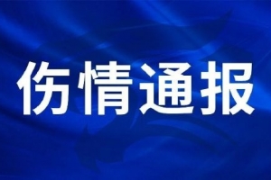 西班牙vs比利时直播_西班牙vs比利时在线直播_西班牙vs比利时赛事直播