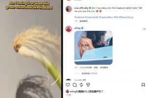 世界杯直播_美加墨世界杯直播_2026世界杯直播在线观看无插件