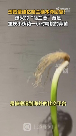 球帝直播_球帝免费高清直播观看_球帝直播无插件